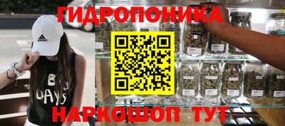 твердый Сланцы