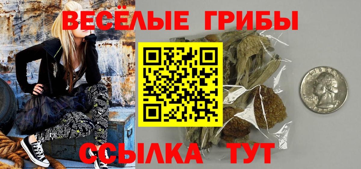 Белгород  Псилоцибиновые грибы ЛСД  наркотики  Вход с VPN 